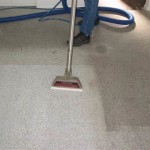 carpet cleaner Newark