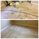 Newark carpet cleaners